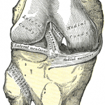 VẬT LÝ TRỊ LIỆU PHỤC HỒI TỔN THƯƠNG DÂY CHẰNG CHÉO TRƯỚC (ACL) KHỚP GỐI